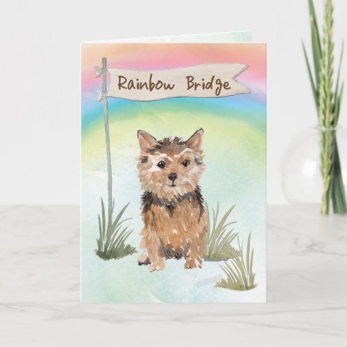 Norfolk Terrier Pet Sympathy Over Rainbow Bridge Card