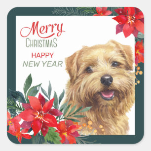 Norfolk Terrier Poinsettia Border Christmas Square Sticker