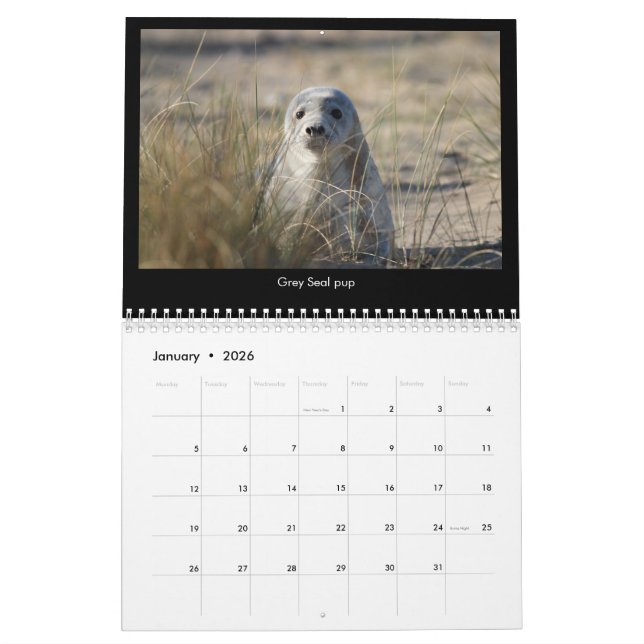 Norfolk (UK) Coastal Wildlife calendar 2018 (Jan 2026)