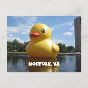 Norfolk, Virginia (Duck) Postcard