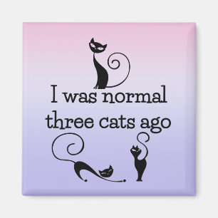 Normal 3 Cats Ago Humorous Fridge Magnet