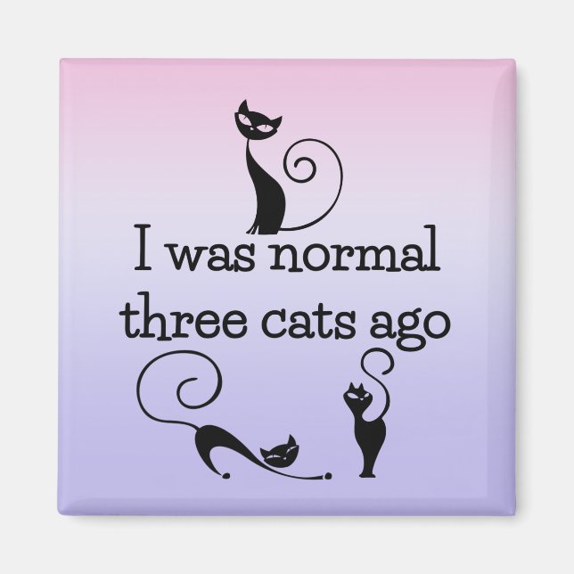 Normal 3 Cats Ago Humorous Fridge Magnet (Front)