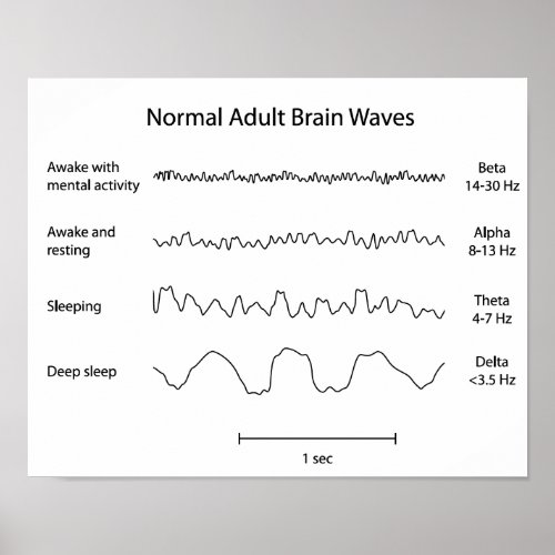 Normal adult brain waves eeg Poster