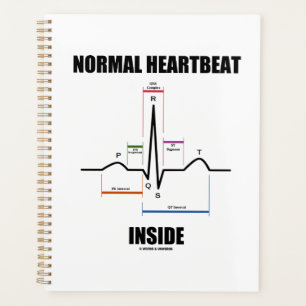 Normal Heartbeat Inside ECG EKG Electrocardiogram Planner