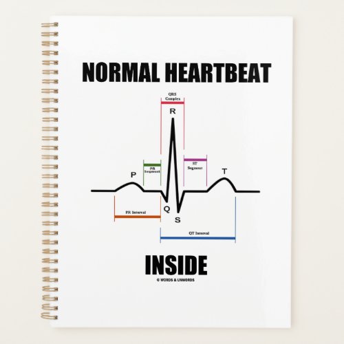 Normal Heartbeat Inside ECG EKG Electrocardiogram Planner