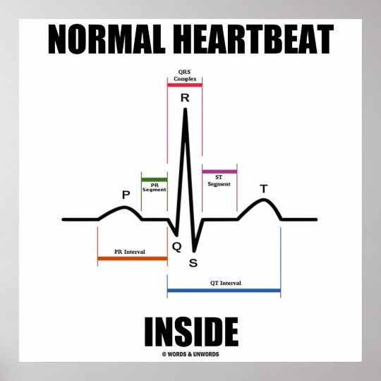 normal heartbeat at 10 weeks
