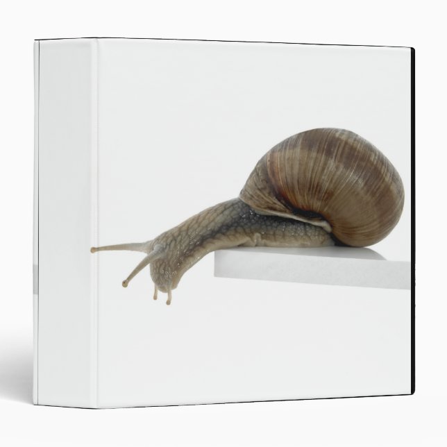 Normalsnail Binder (Front/Spine)