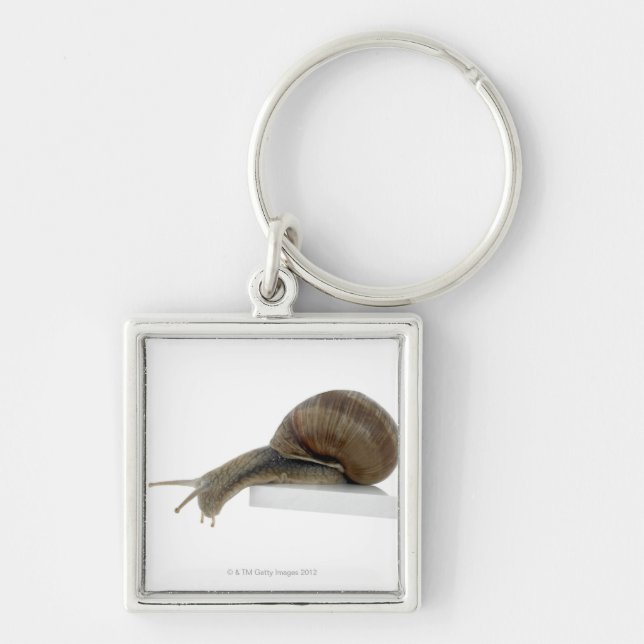 Normalsnail Keychain (Front)