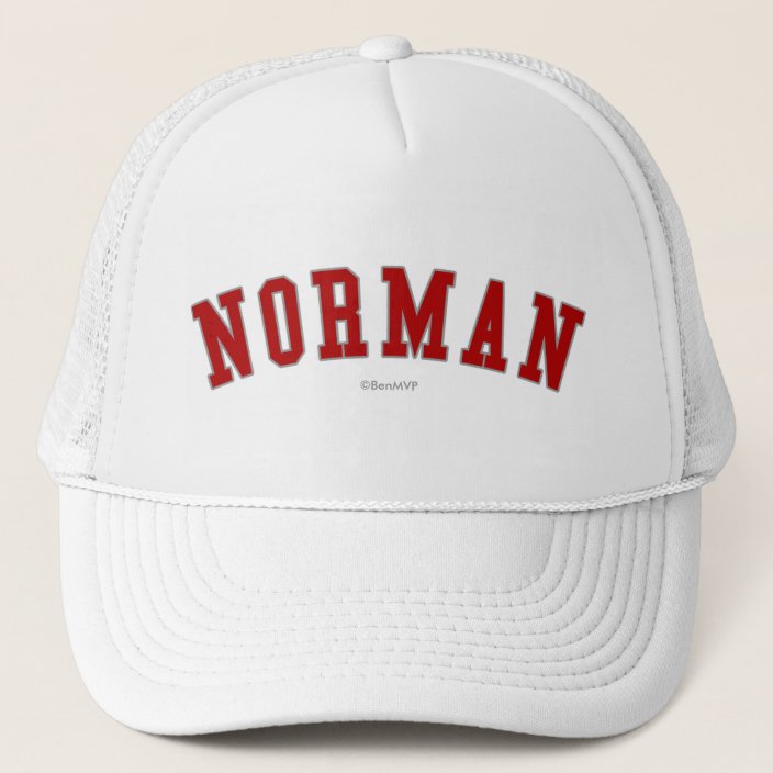 Norman Mesh Hat