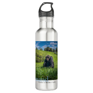 Normand, Member of Bobby's Family Stainless Steel Water Bottle