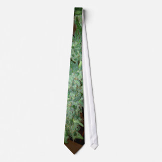 normtie neck tie