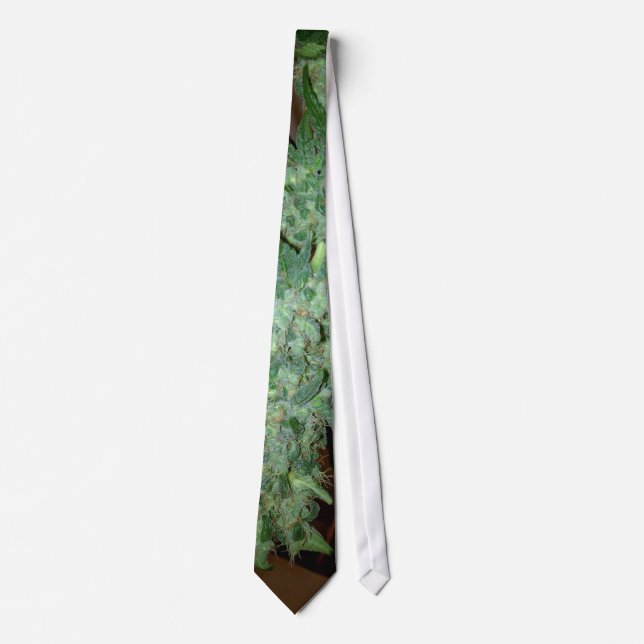 normtie neck tie (Front)