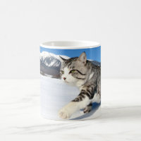 'Noroneko' ('Kitty Cat') Coffee Mug