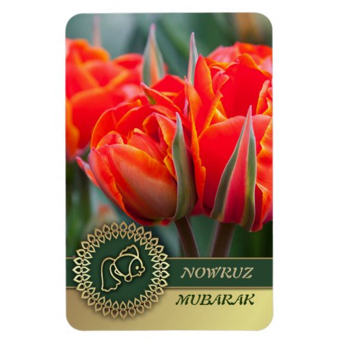 Norooz  Mubarak Persian New Year Gift Magnets