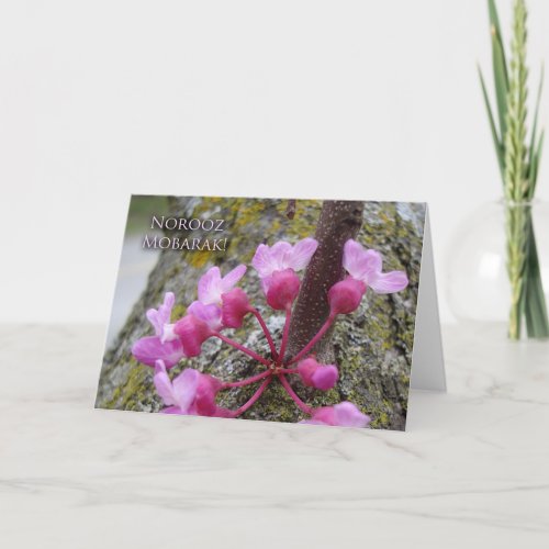 Norooz Redbud Tree in Bloom Spring Photograph Card