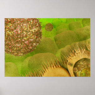 Noroviruses in the gastrointestinal tract poster