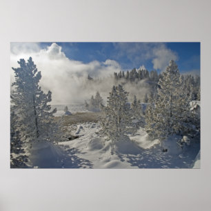 Norris Geyser Basin Yellowstone National Park Poster