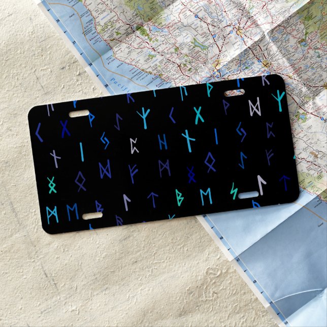 Norse At Night License Plate #2 (In Situ)