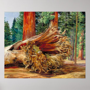 North - A Fallen Giant Calaveras Grove California Poster