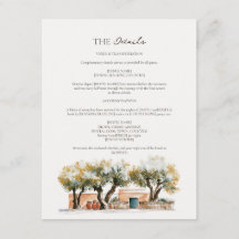 North African Sage Olive Grove Wedding Details 