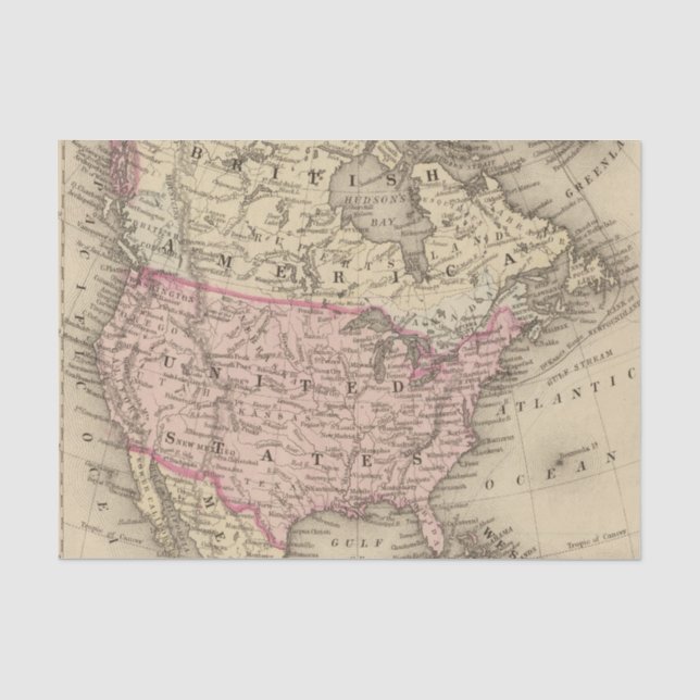 North America 19 Tissue Paper (Front)