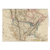 North America 31 (Front Horizontal)