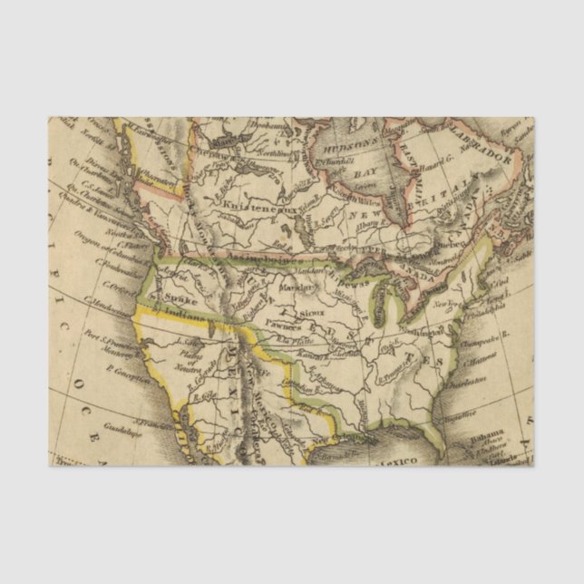 North America 40 Tissue Paper (Front)