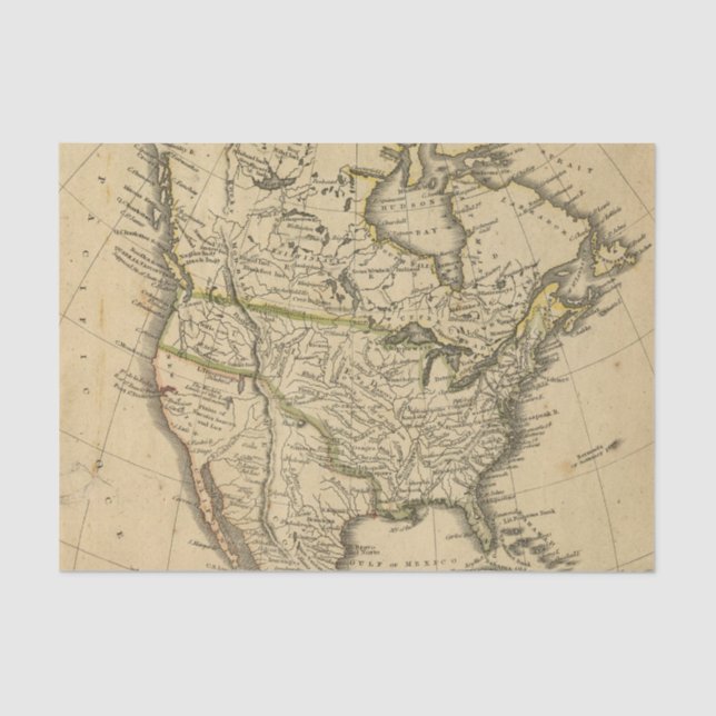 North America 7 Tissue Paper (Front)