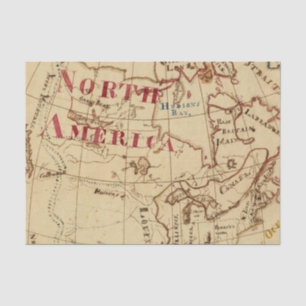 North America 8 Tissue Paper