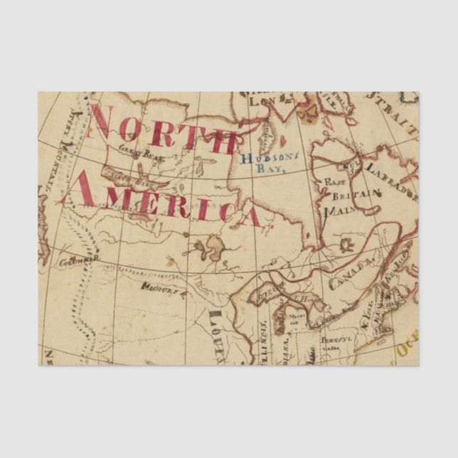 North America 8 Tissue Paper (Front)