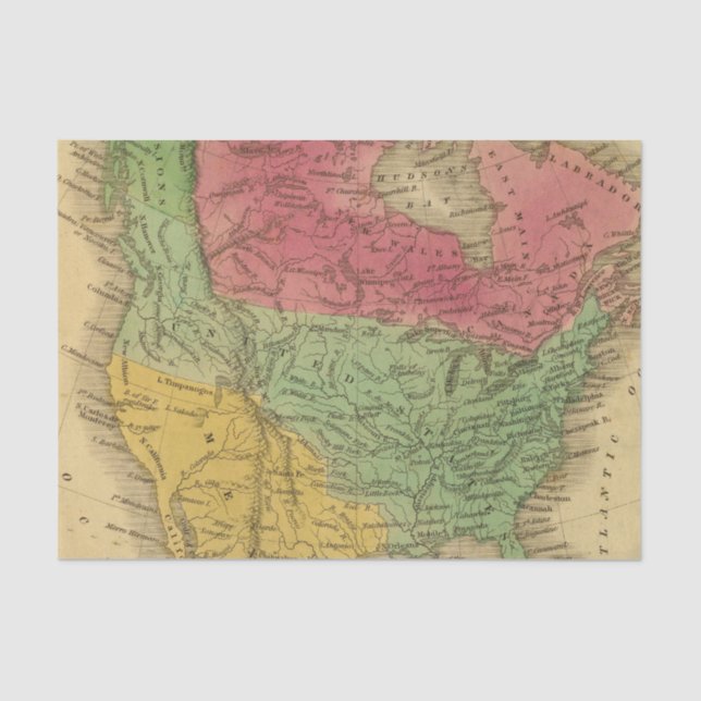 North America 9 2 Tissue Paper (Front)