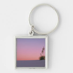 North America, America, New Mexico, White Keychain