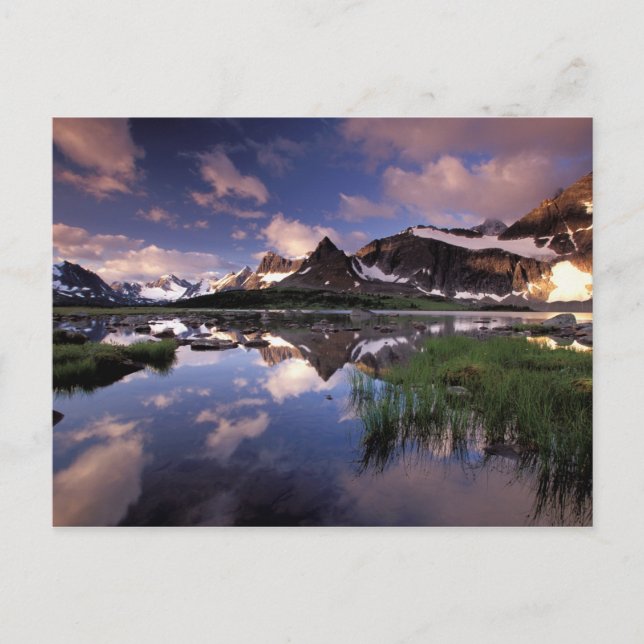 North America, Canada, Alberta, Jasper 4 Postcard (Front)