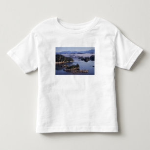 North America, Canada, British Columbia, Johnson Toddler T-shirt