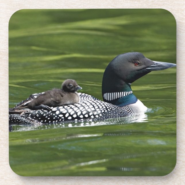 North America, Canada, British Columbia, Lac Le Beverage Coaster (Front)