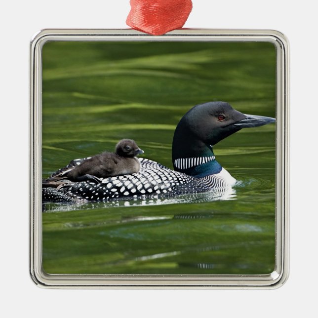 North America, Canada, British Columbia, Lac Le Metal Ornament (Front)
