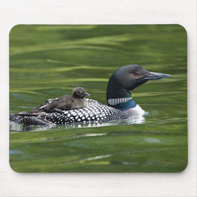 North America, Canada, British Columbia, Lac Le Mouse Pad (Front)