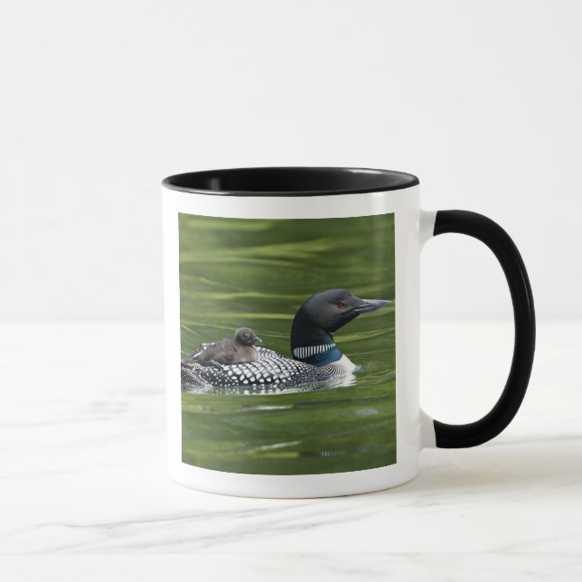 North America, Canada, British Columbia, Lac Le Mug (Right)
