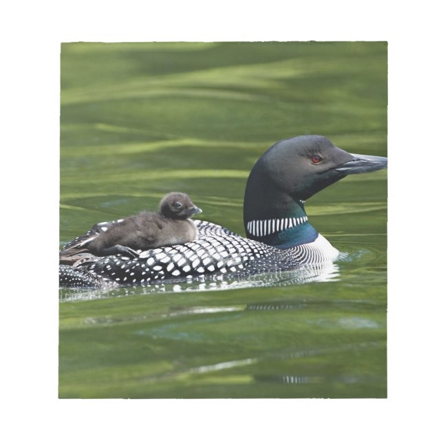 North America, Canada, British Columbia, Lac Le Notepad (Front)