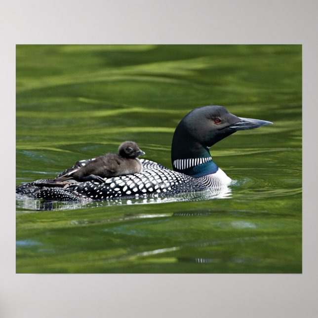 North America, Canada, British Columbia, Lac Le Poster (Front)