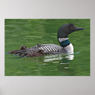 North America, Canada, British Columbia Poster