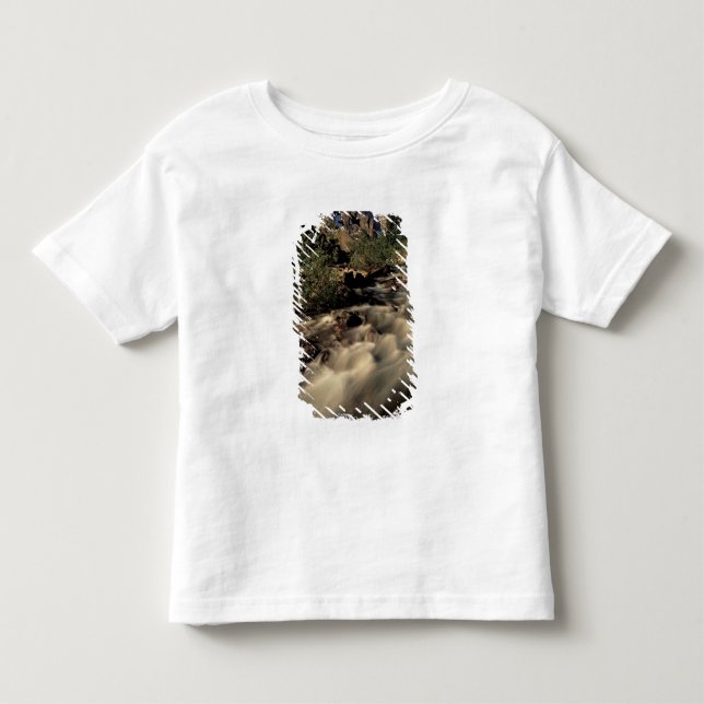 North America, Canada, Canadian Rockies, Banff Toddler T-shirt (Front)