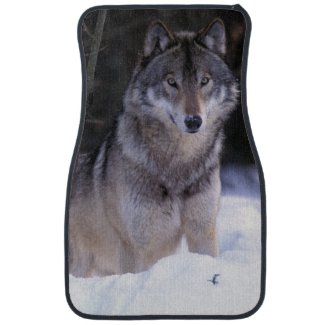 North America, Canada, Eastern Canada, Grey wolf Car Mat