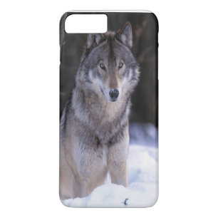 North America, Canada, Eastern Canada, Grey wolf iPhone 8 Plus/7 Plus Case