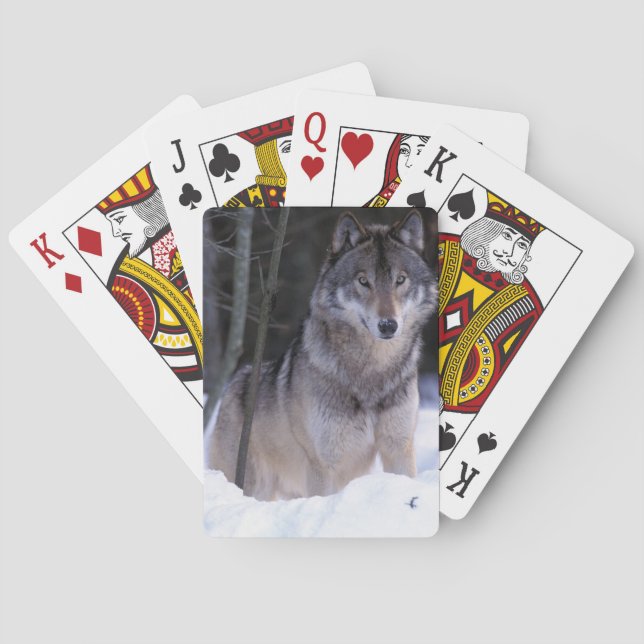 North America, Canada, Eastern Canada, Grey wolf Poker Cards (Back)