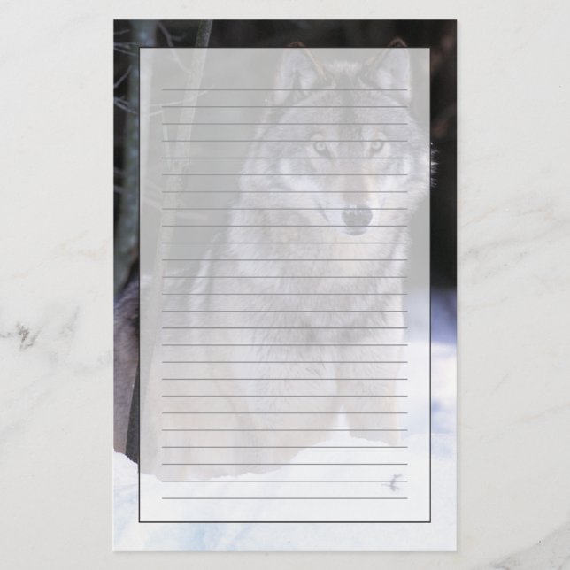 North America, Canada, Eastern Canada, Grey wolf Stationery (Front)