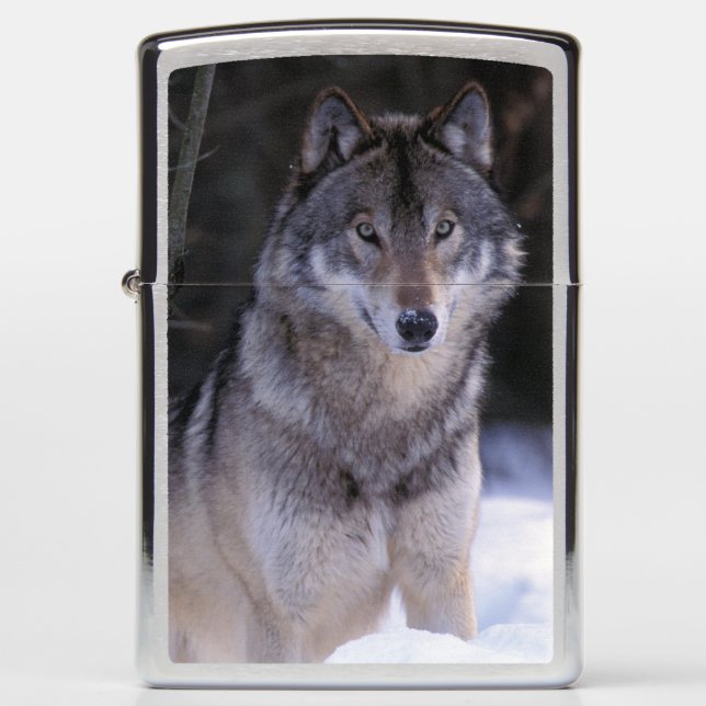 North America, Canada, Eastern Canada, Grey wolf Zippo Lighter (Front)