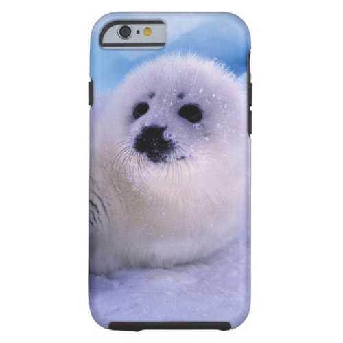 North America Canada Gulf of St Lawrence 2 Tough iPhone 6 Case