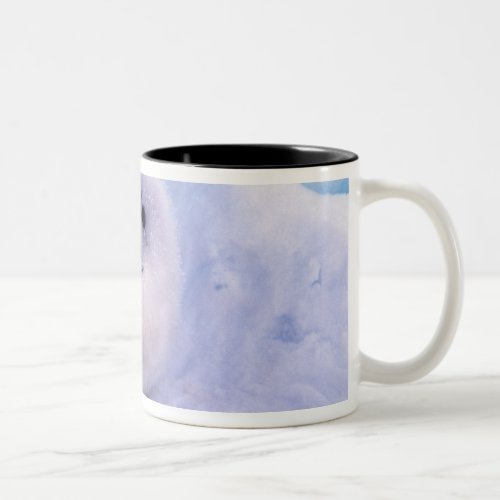 North America Canada Gulf of St Lawrence 2 Two_Tone Coffee Mug