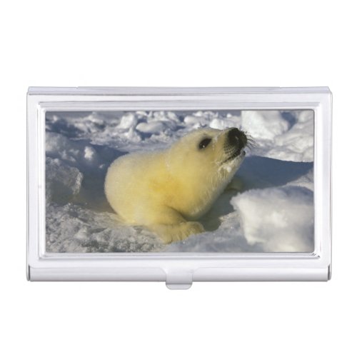 North America Canada Gulf of St Lawrence 3 Business Card Case